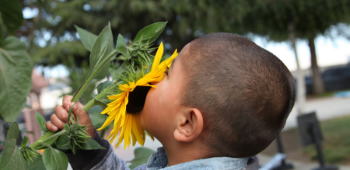 A boy holding a sunflower