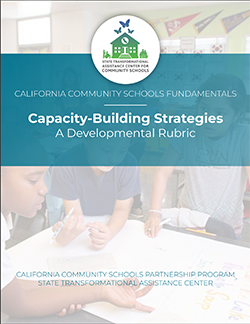Capacity-Building-Strategies.png