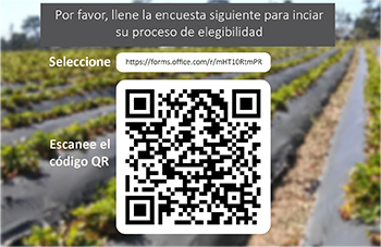 Survey QR