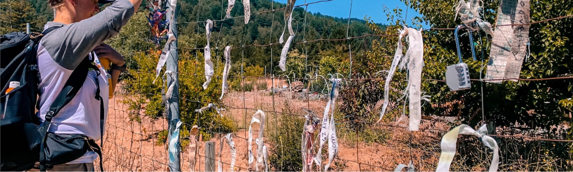 Teacher facing garden fence filled with ribbons at Walden West