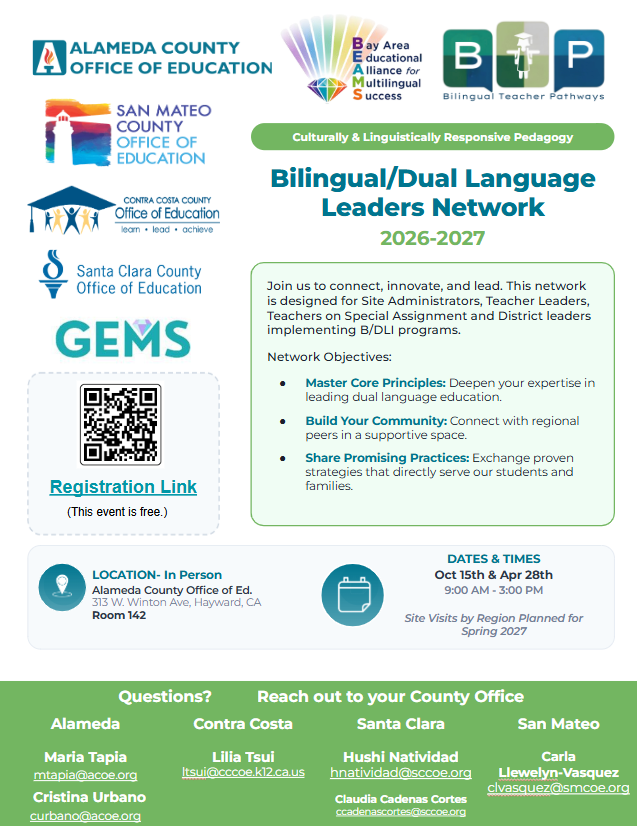 bdli leaders network.png
