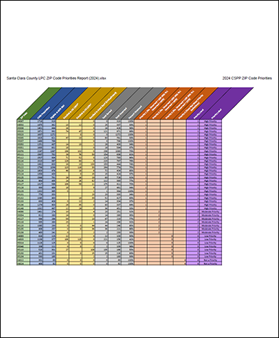 2024 CSPP Report